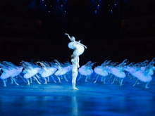 Swan Lake in-the-round