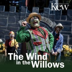The Wind in the Willows The Wind in the Willows